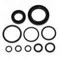 Anel Kit Vedacao Mesa Magneto Com Retentor Biz100 Es