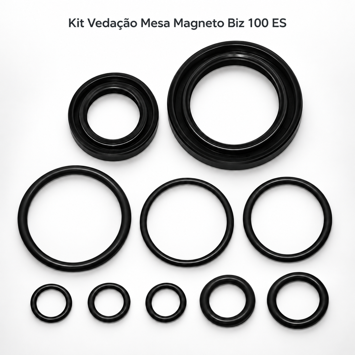 Anel Kit Vedacao Mesa Magneto Com Retentor Biz100 Es